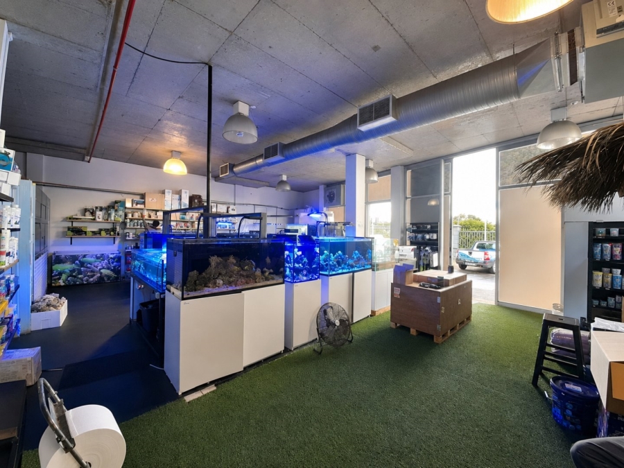 Commercial Property for Sale in Brooklyn Western Cape